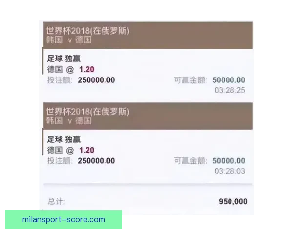 世界杯竞猜稳定平台推荐，让你轻松享受精准投注体验