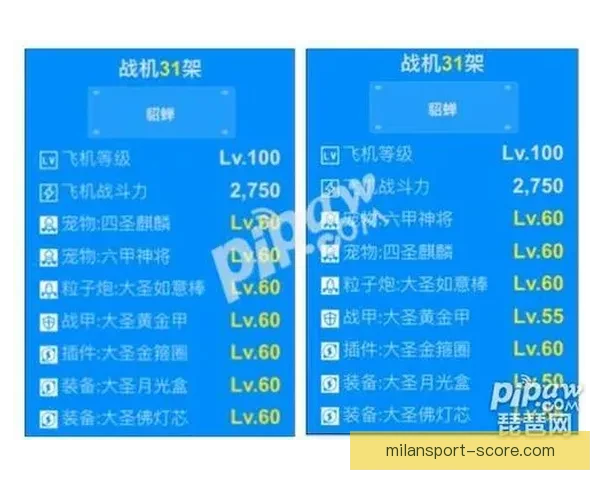 全方位解析体育竞猜网站投注技巧与投注技巧分享指南